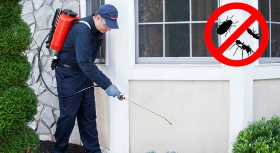 Kırıkkale Bit İlaçlama böcek ilaçlama ve haşere kontrolü — ilaclama-tr.com